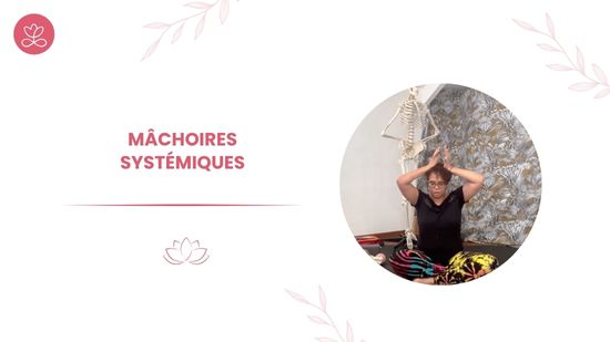 Mâchoires systémiques